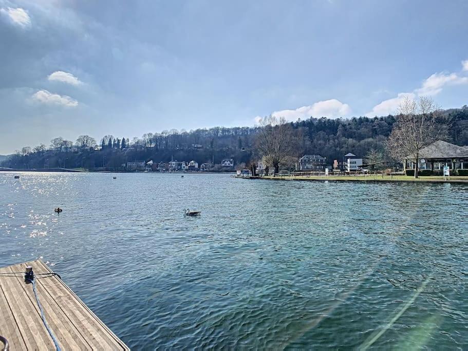 Vue Sur Meuse Avec Jacuzzi Et Sauna Exterieur. Yvoir Εξωτερικό φωτογραφία
